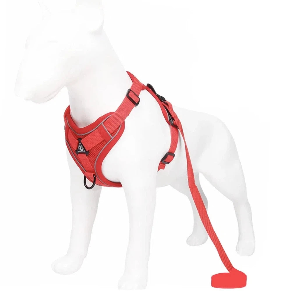 Tout savoir sur les harnais pour petits chiens : Guide complet pour choisir le meilleur