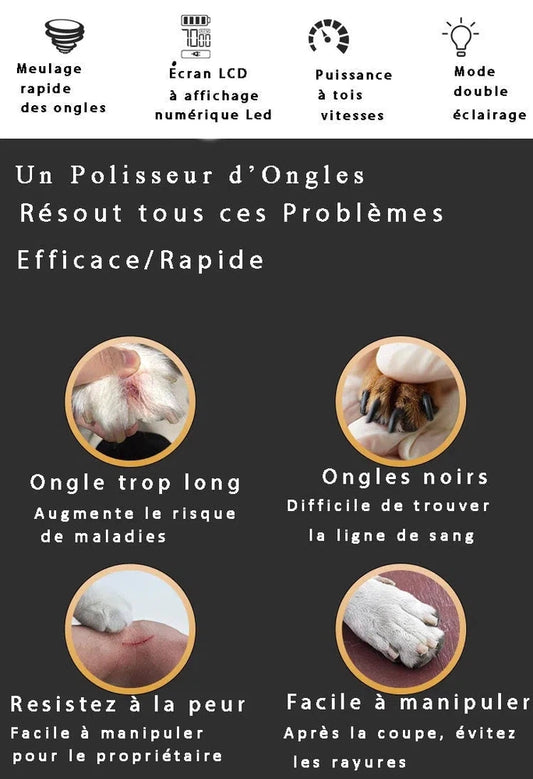 Une solution pour couper les griffes de son chien ou chat