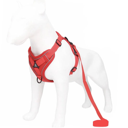 Tout savoir sur les harnais pour petits chiens : Guide complet pour choisir le meilleur