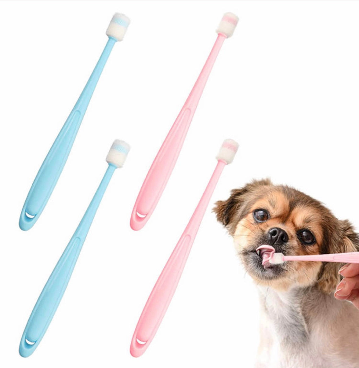 Brosses à dents pour Chiens et Chats