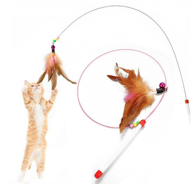 Jouets pour chats