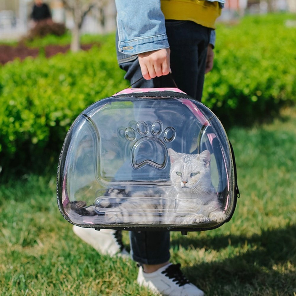 Sac de transport transparent pour chat