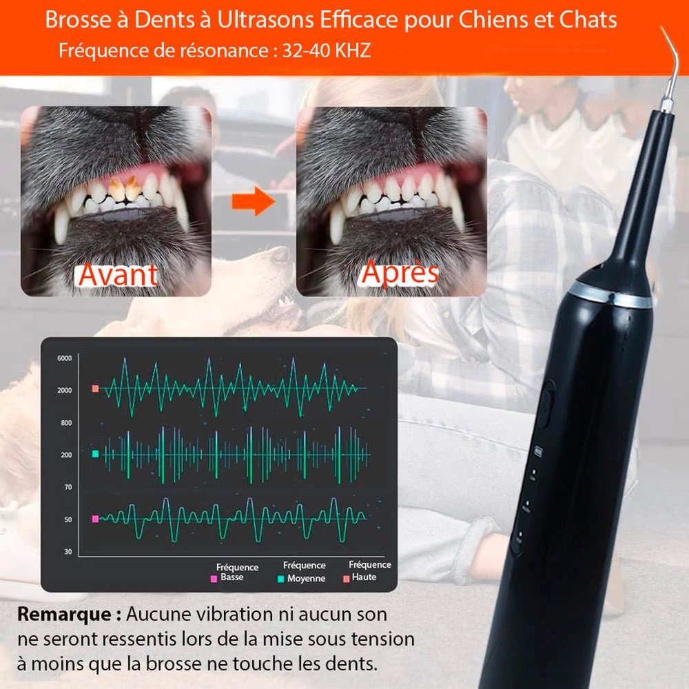 Kit de Nettoyage Dentaire pour Animaux : Hygiène Buccale de Qualité pour vos Compagnons à Quatre Pattes