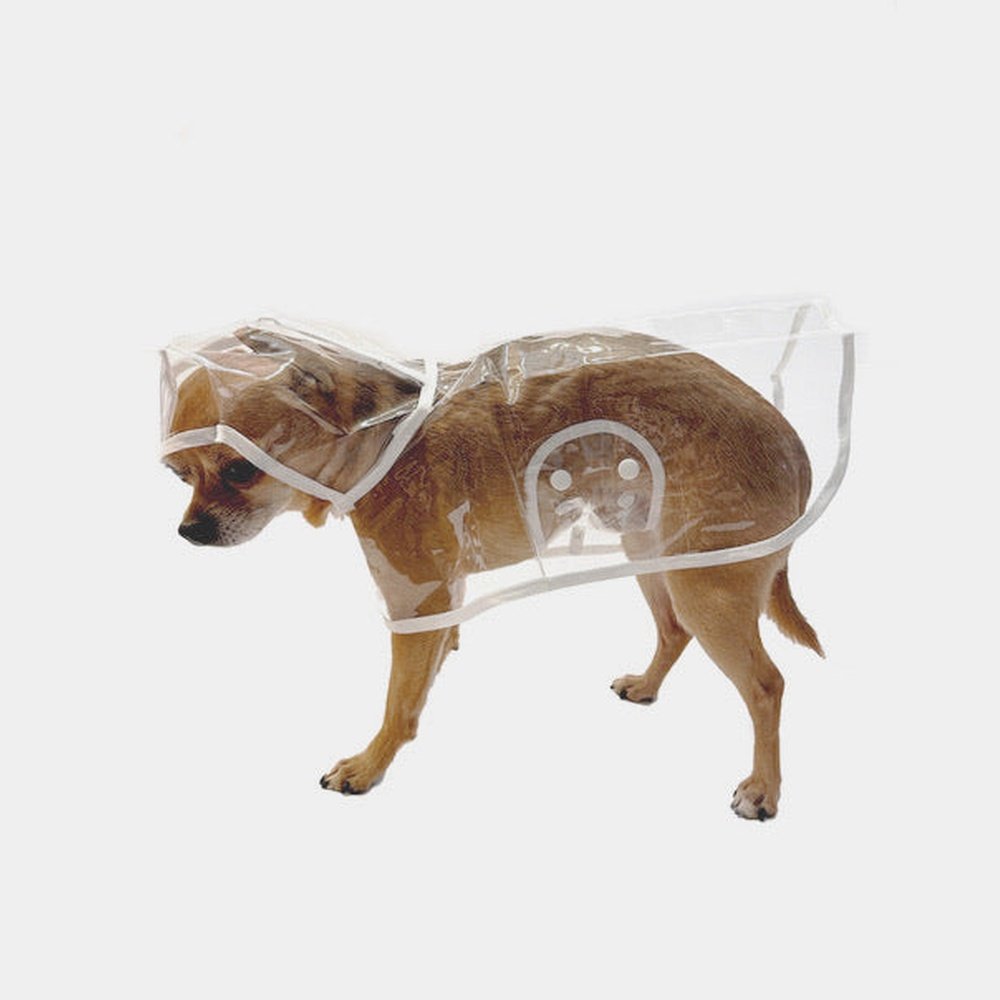 Imperméable transparent pour petits chiens