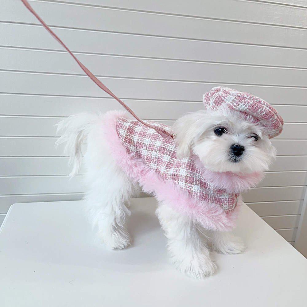 Collection Veste pour Chien Chic, Automne-Hiver