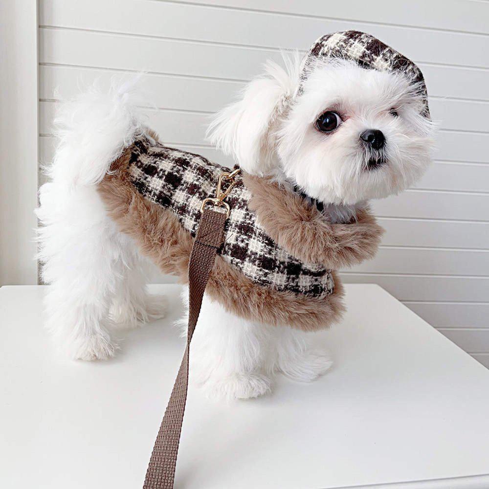 Collection Veste pour Chien Chic, Automne-Hiver